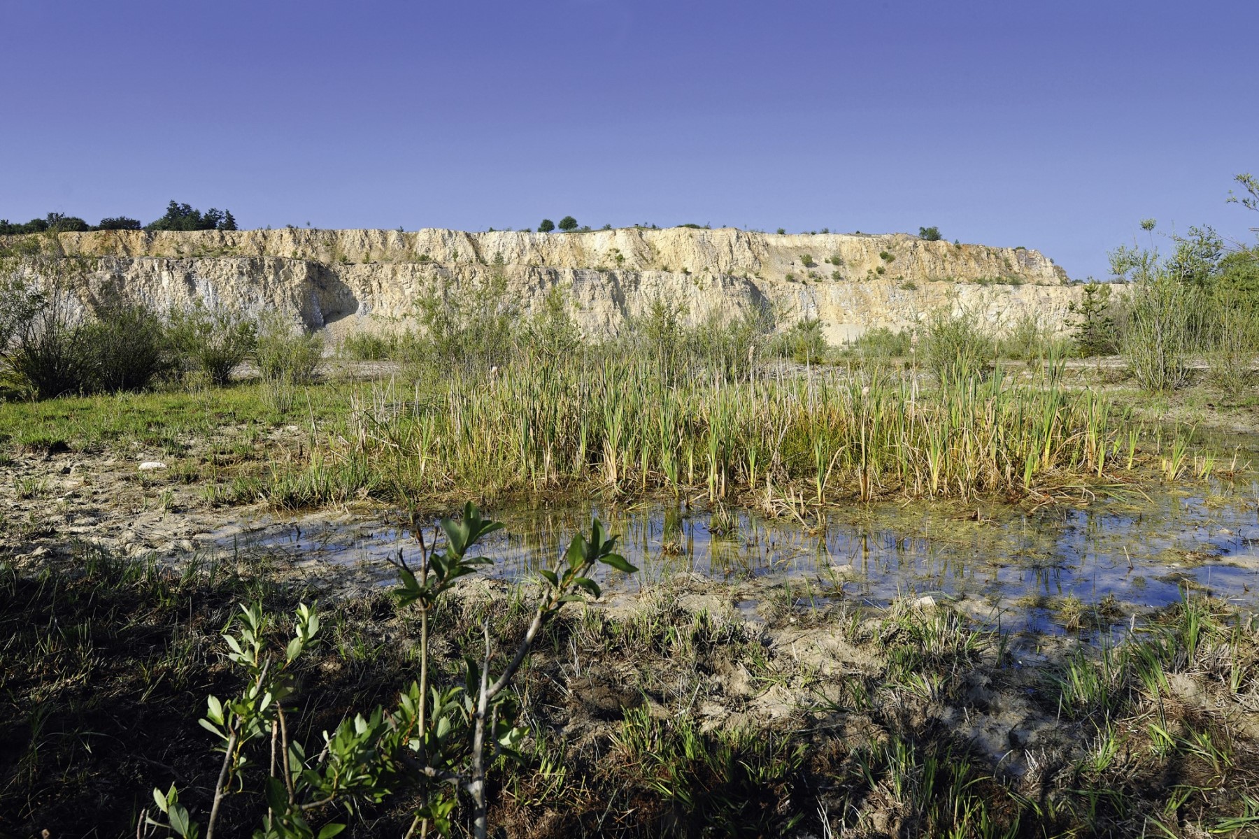 Quarry Life Award 20152016 Heidelberg Materials Deutschland